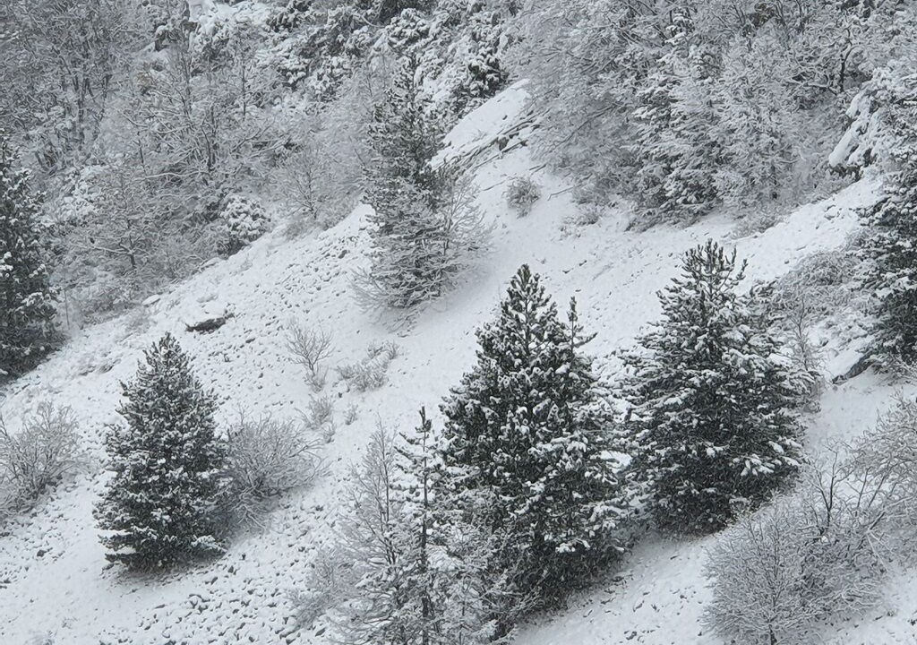 Photo of Others in Lucoli