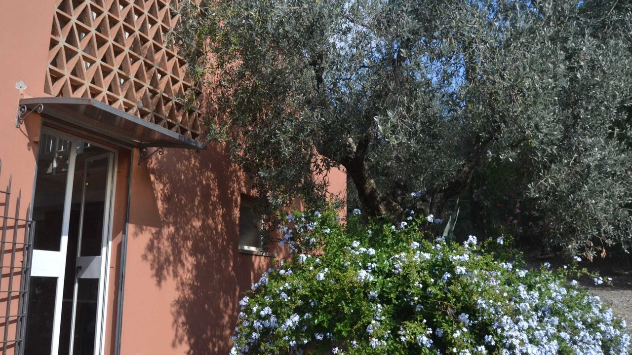 Photo of Outdoor in Castagneto Carducci