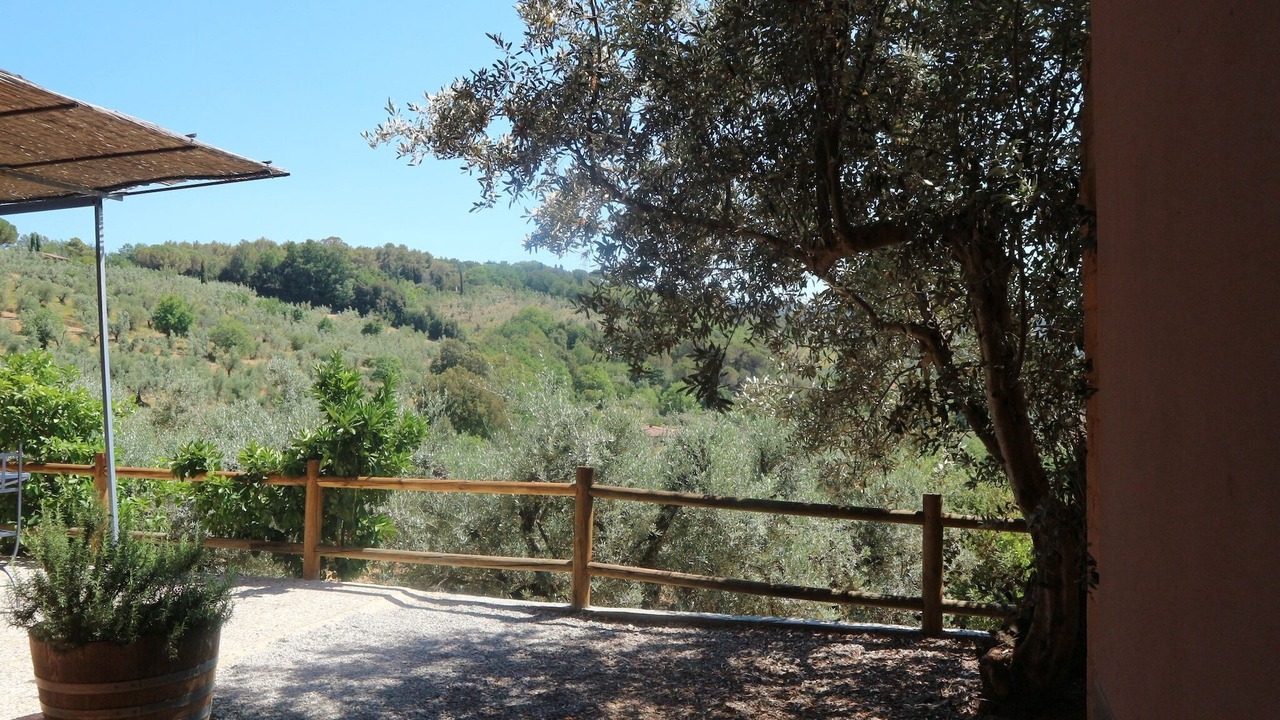 Photo of Outdoor in Castagneto Carducci