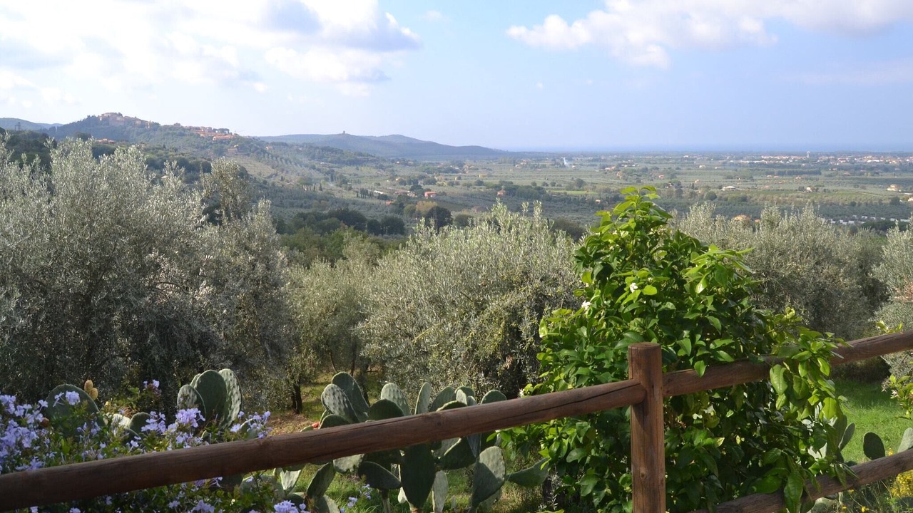 Photo of Outdoor in Castagneto Carducci
