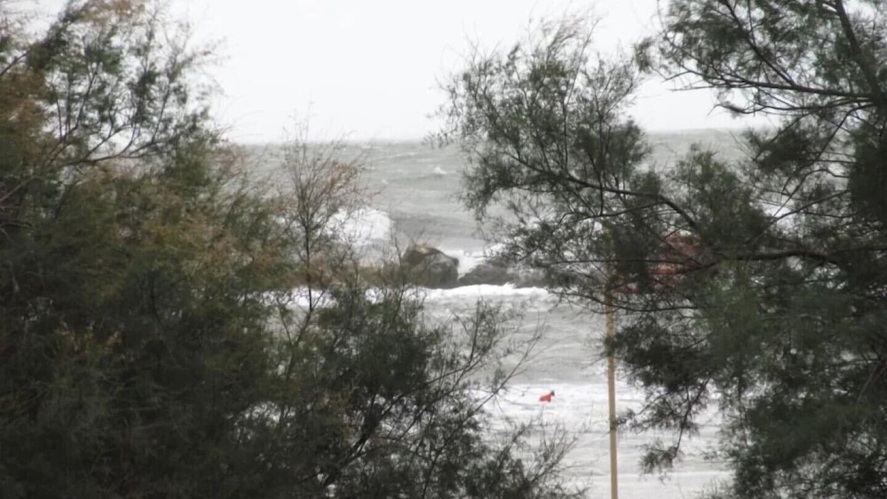 Photo of Outdoor in Lido Adriano