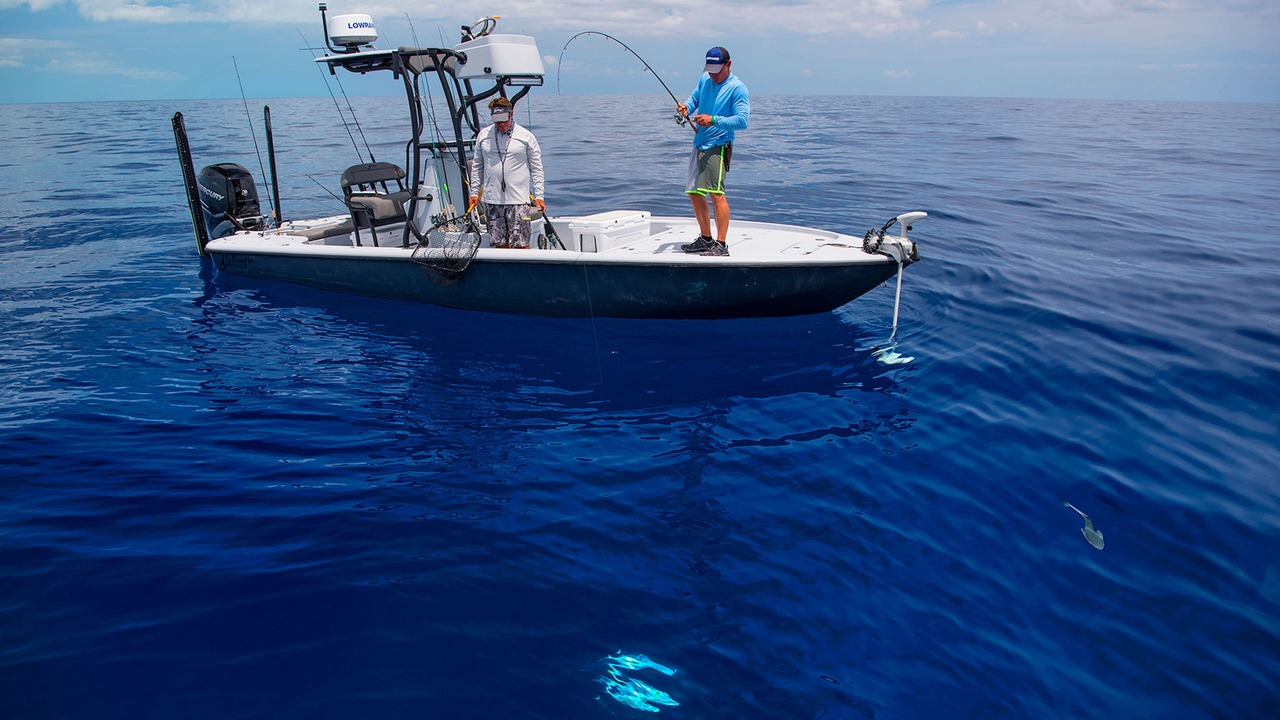 Photo of Others in Duck Key