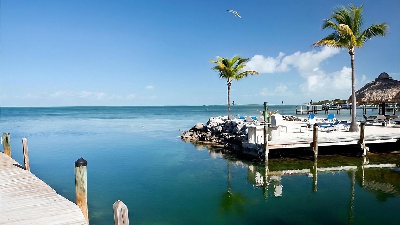 Photo of Others in Islamorada