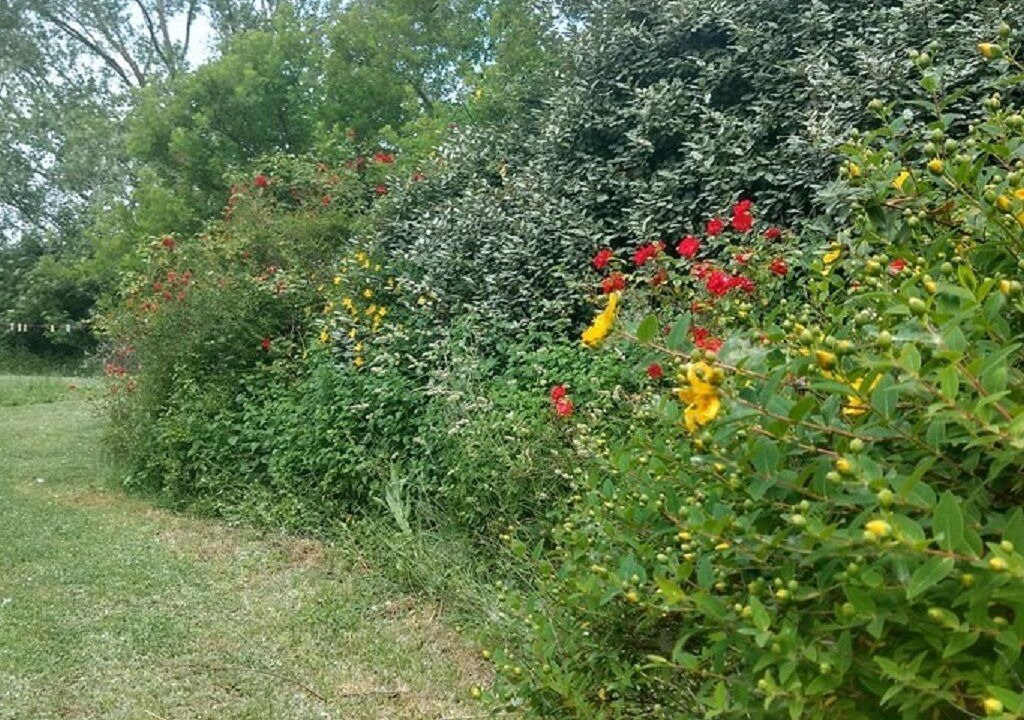 Photo of Outdoor in Valfabbrica