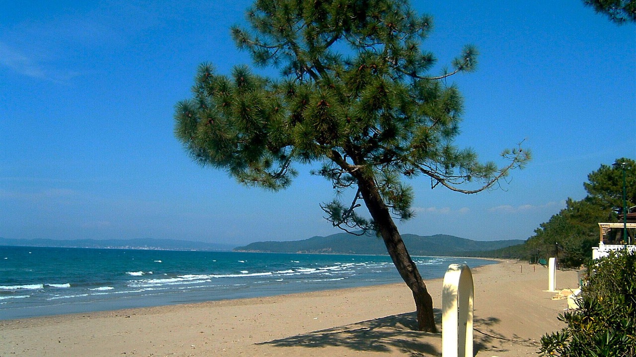Photo of Others in Punta Ala