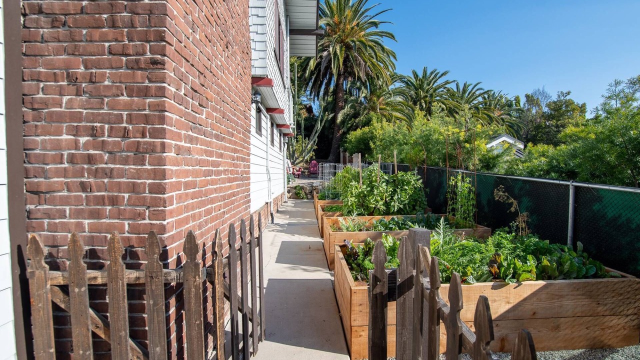 Photo of Outdoor in Hollywood Heights
