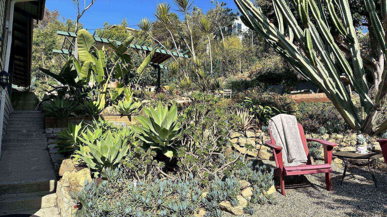Photo of Outdoor in Hollywood Heights