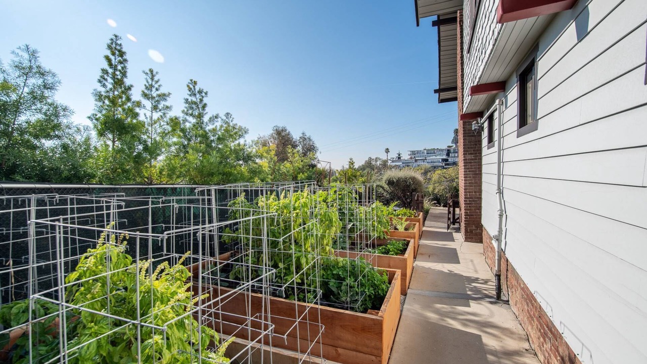 Photo of Outdoor in Hollywood Heights