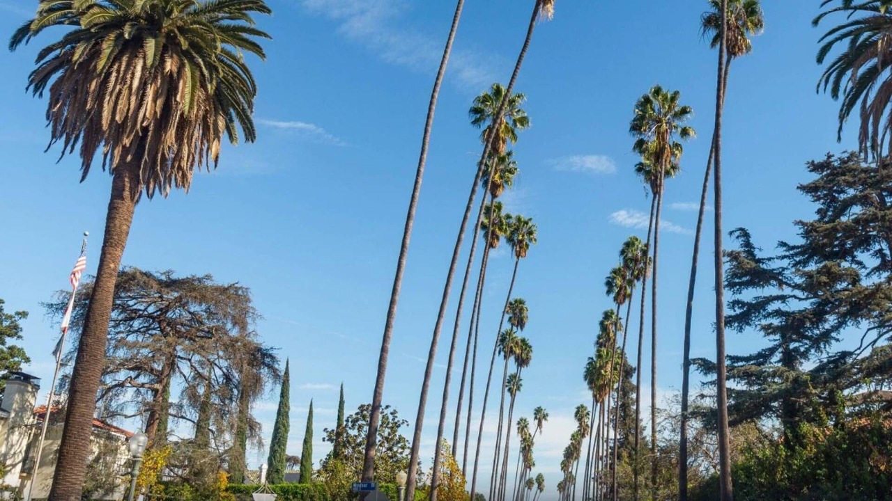 Photo of Others in Pico-Union