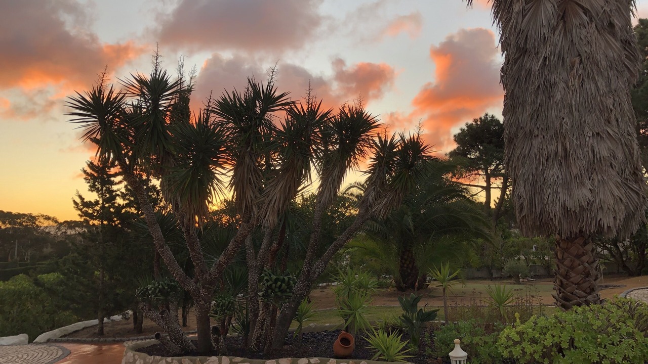 Photo of Outdoor in Aljezur