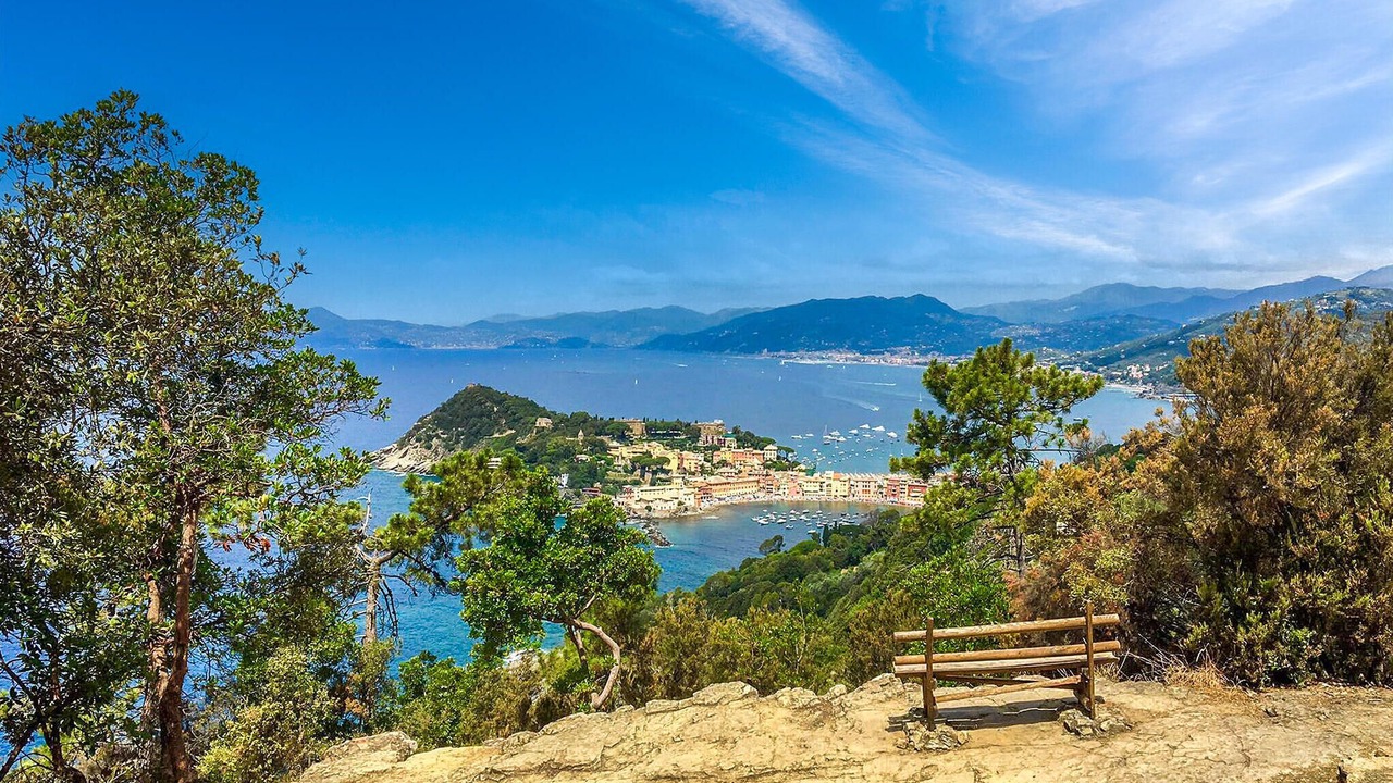 Photo of Others in Sestri Levante