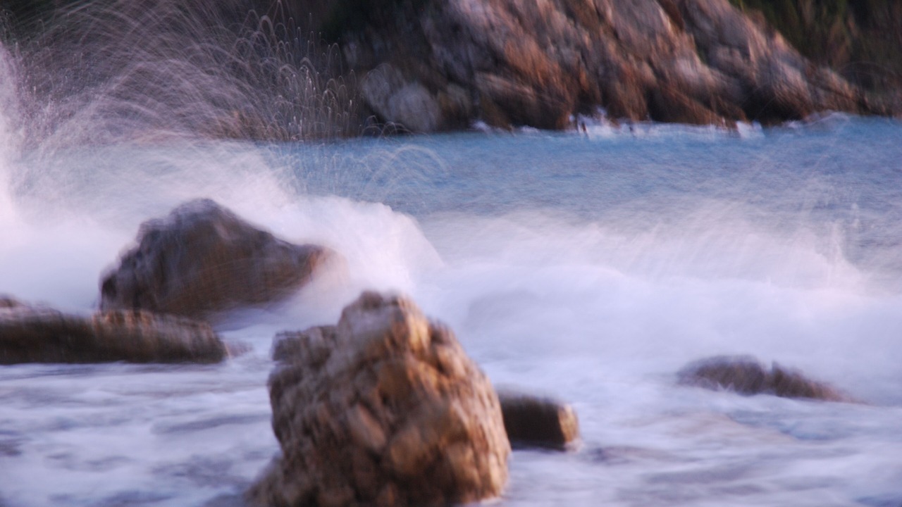 Photo of Others in Rio nell'Elba
