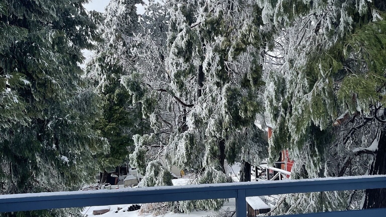 Photo of Outdoor in Cedarpines Park
