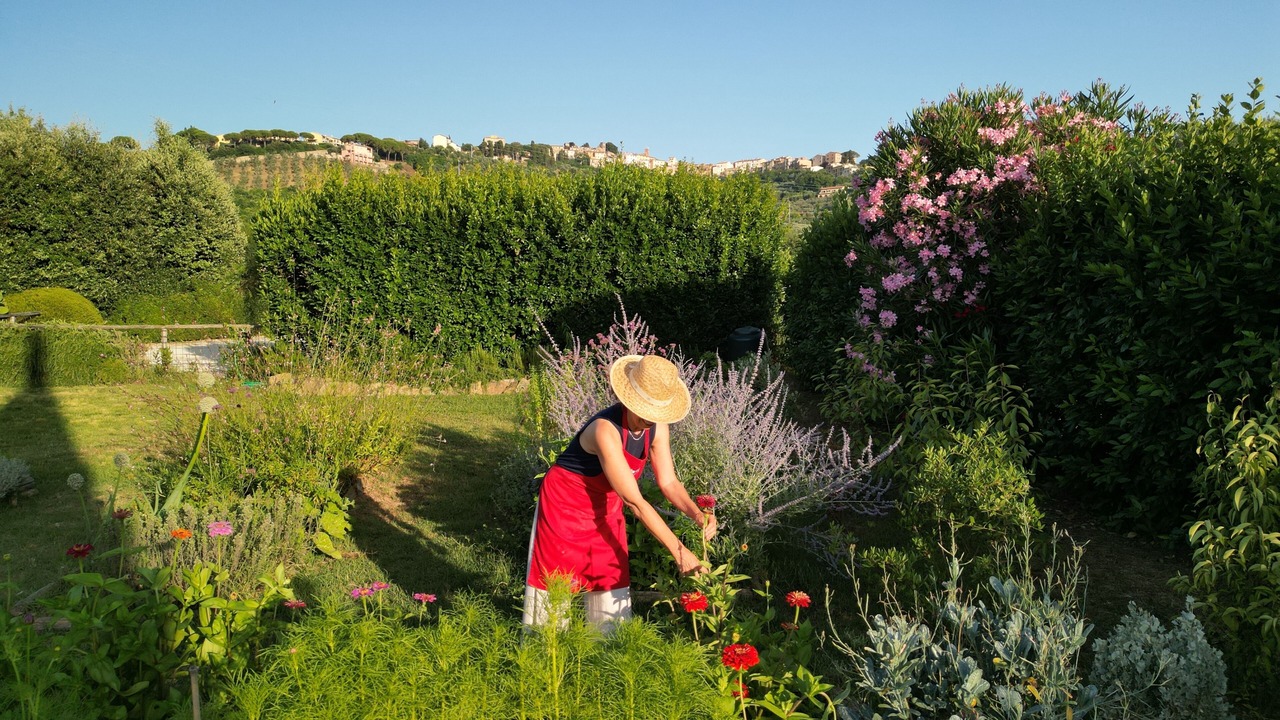 Photo of Outdoor in Castagneto Carducci