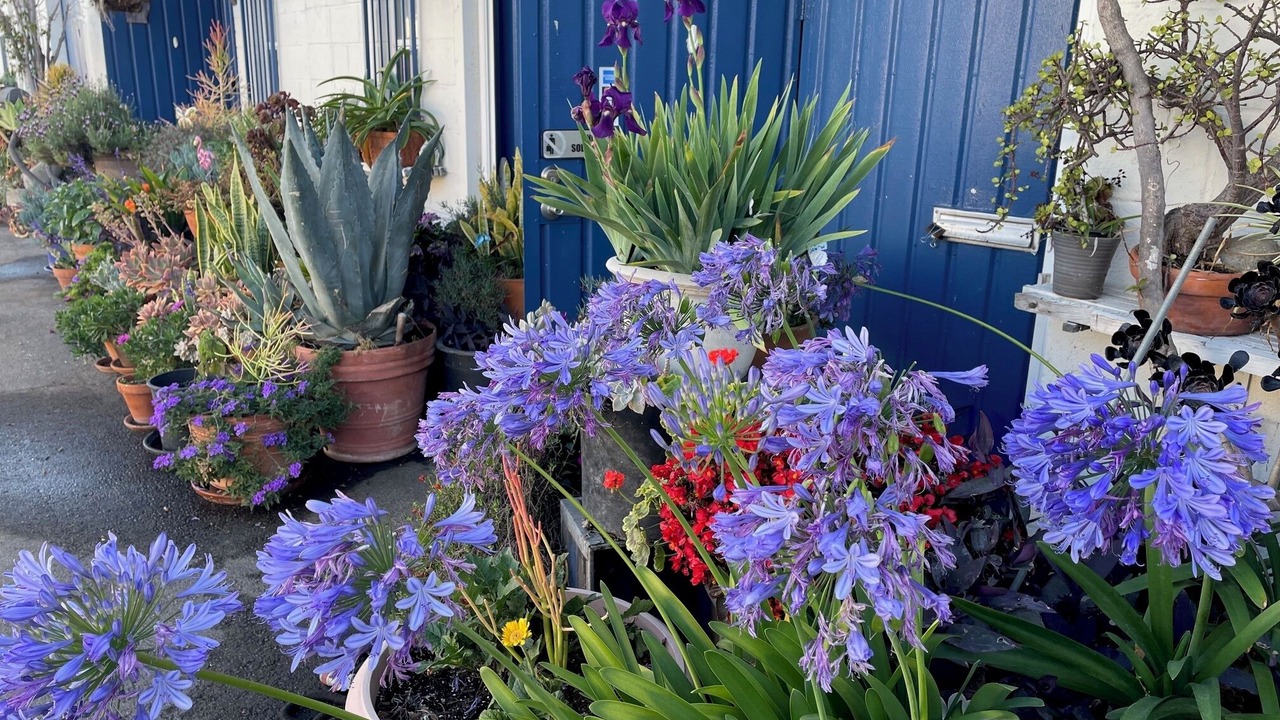 Photo of Outdoor in Gardena