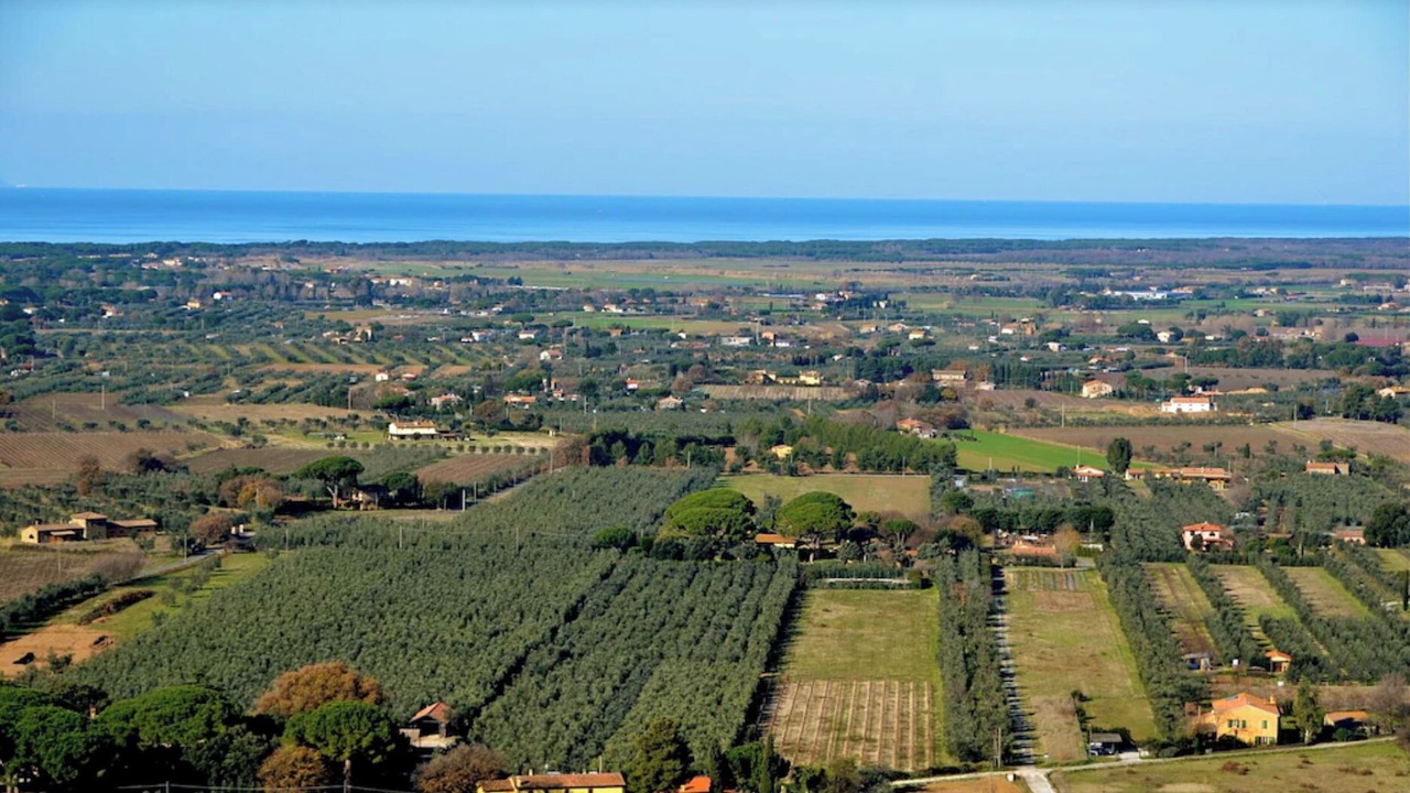 Photo of Outdoor in Castagneto Carducci