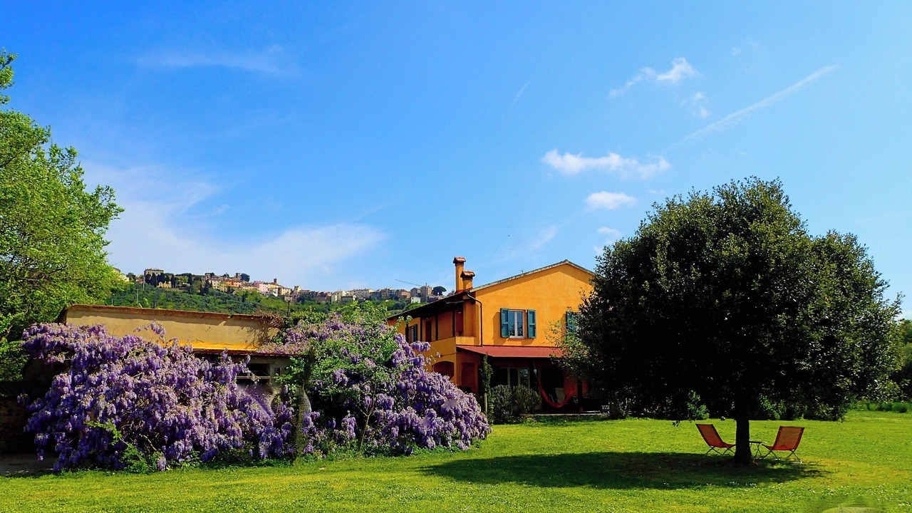 Photo of Outdoor in Castagneto Carducci