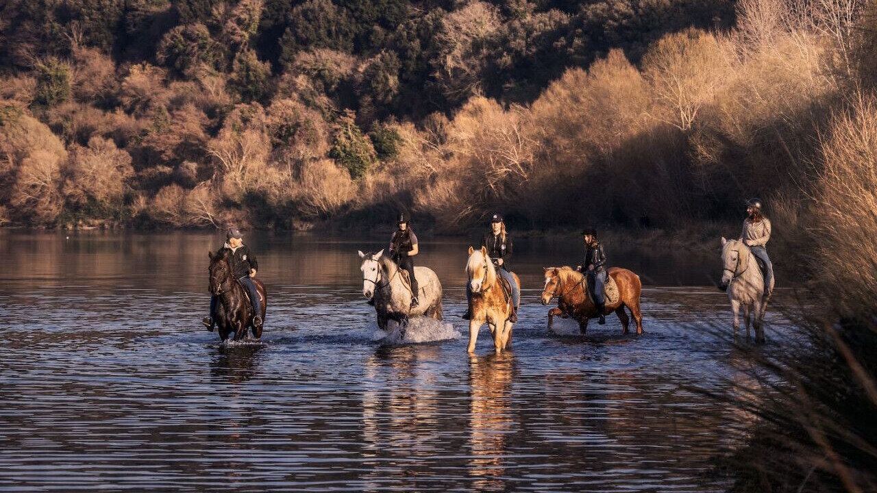 Photo of Others in Lake Bracciano