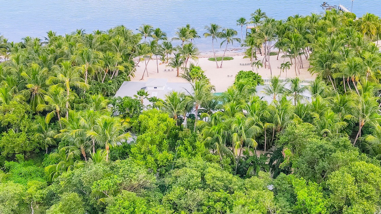 Photo of Others in Islamorada
