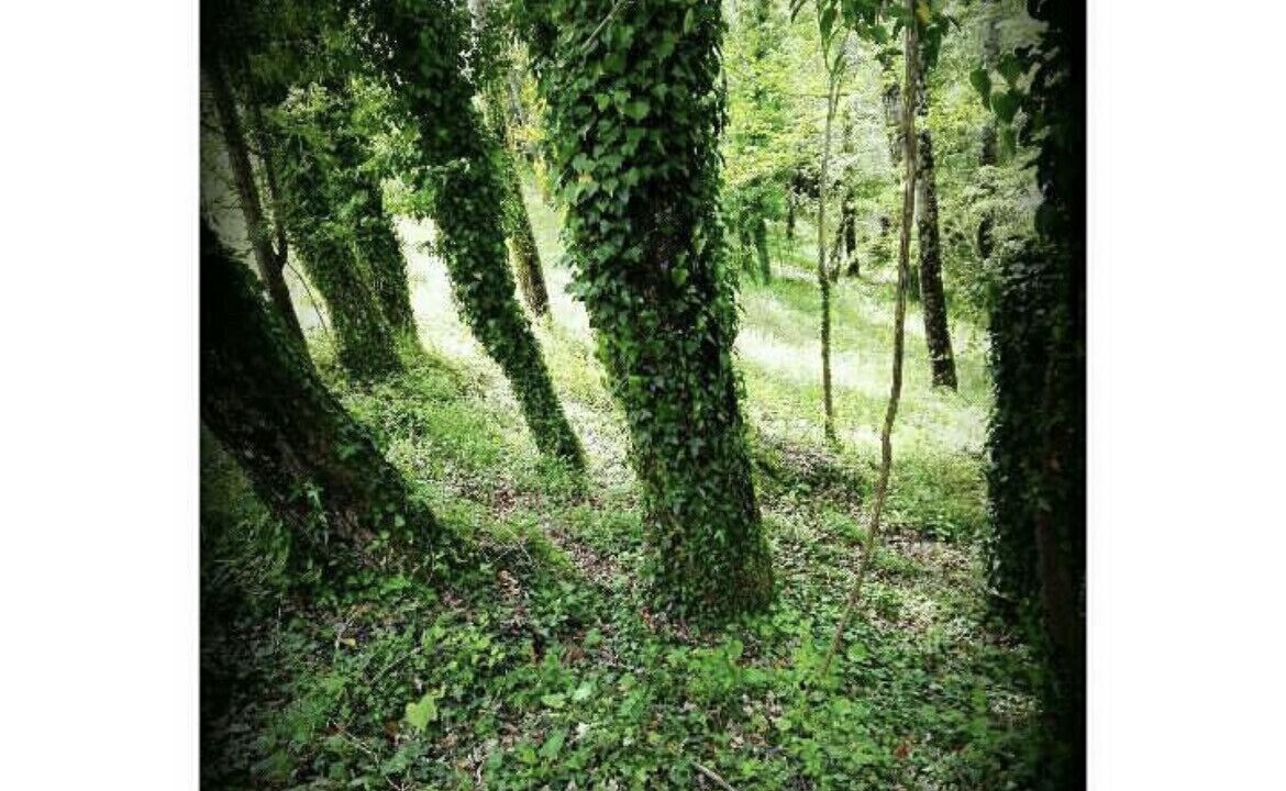 Photo of Outdoor in Rocca Sinibalda