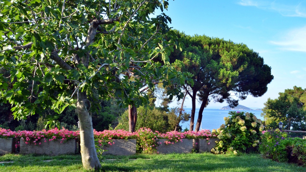 Photo of Outdoor in Bagno-Sprizze