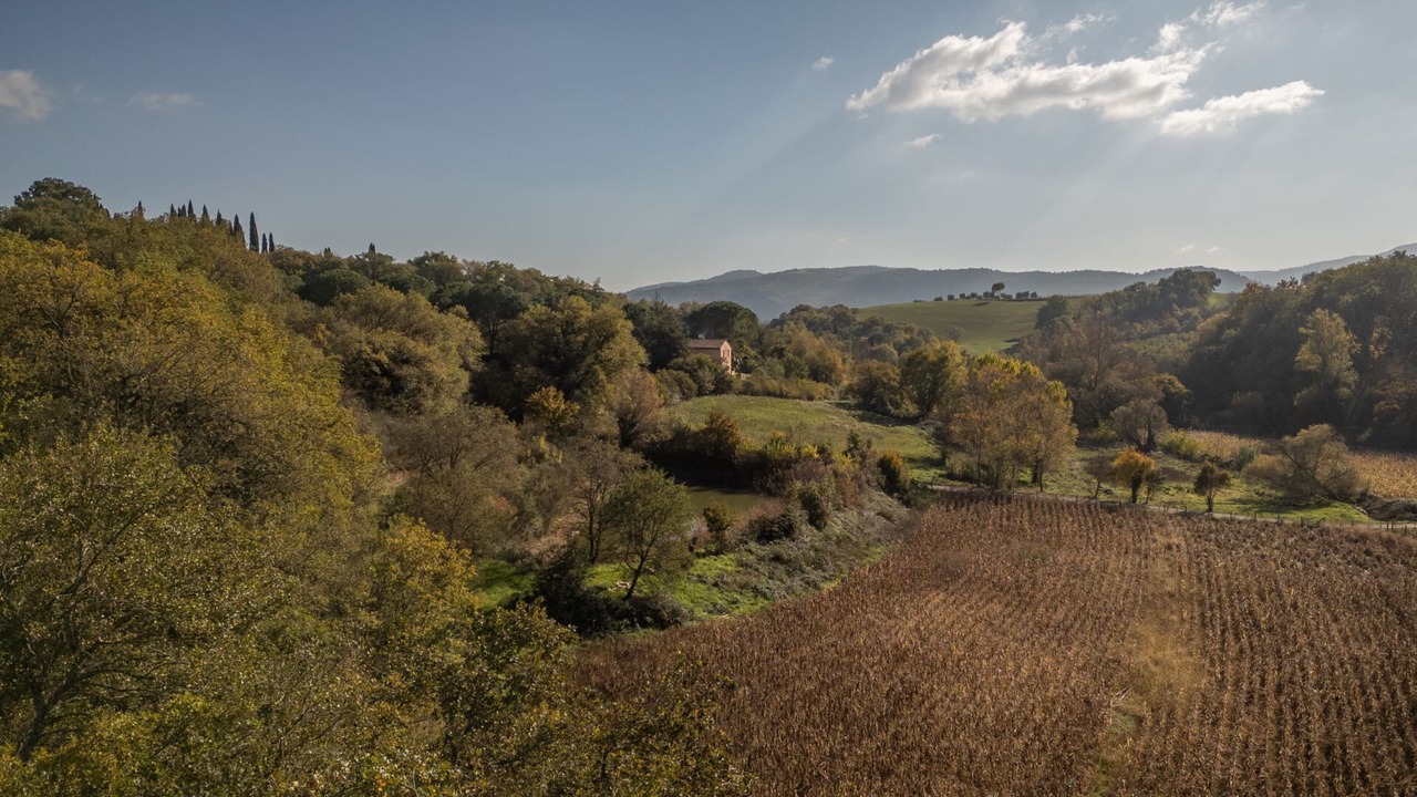 Photo of Others in Panicale