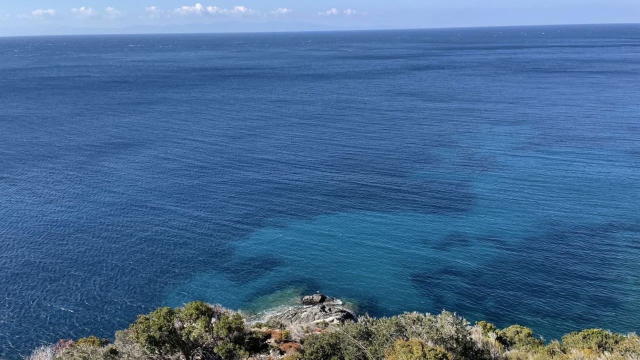 Photo of Others in Marina di Campo