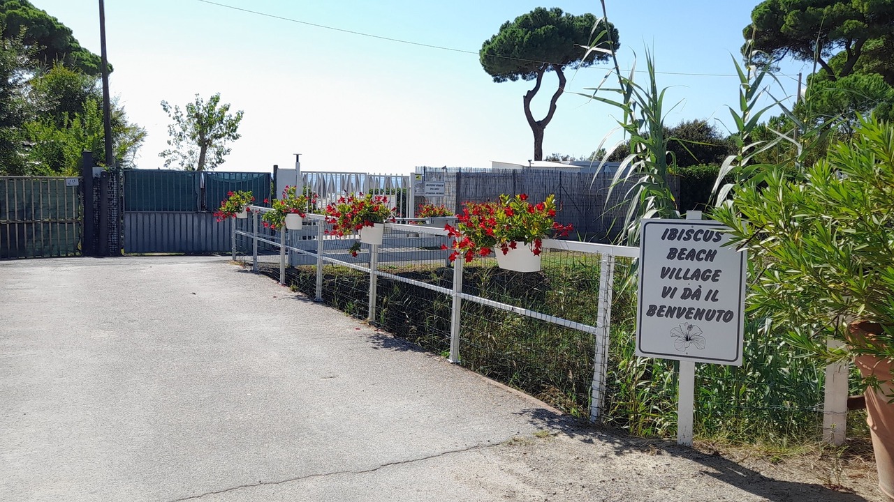 Photo of Outdoor in Follonica