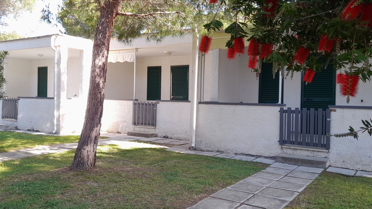 Photo of Outdoor in Follonica