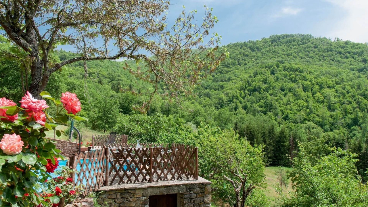 Photo of Others in Santa Reparata