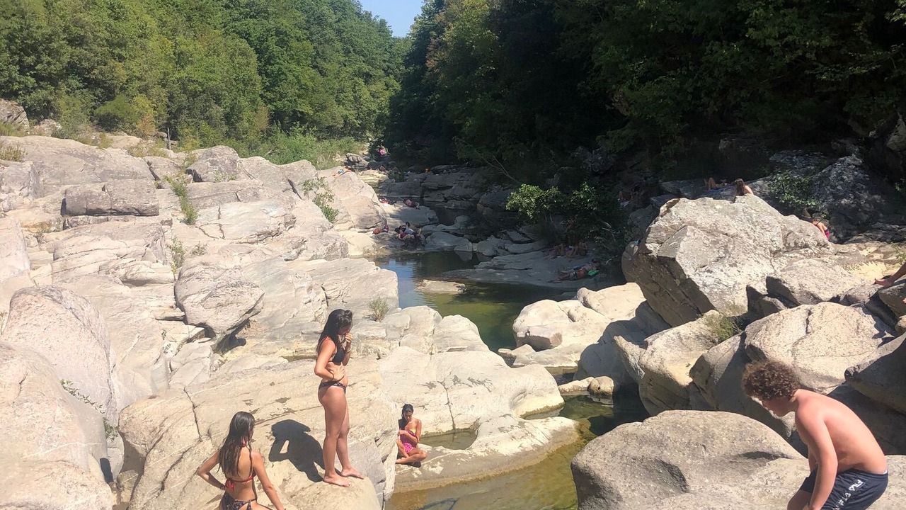 Photo of Others in Campagnatico