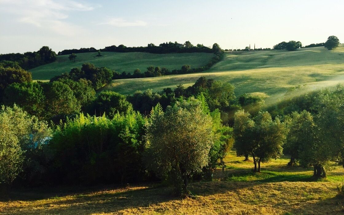 Photo of Others in Campagnatico