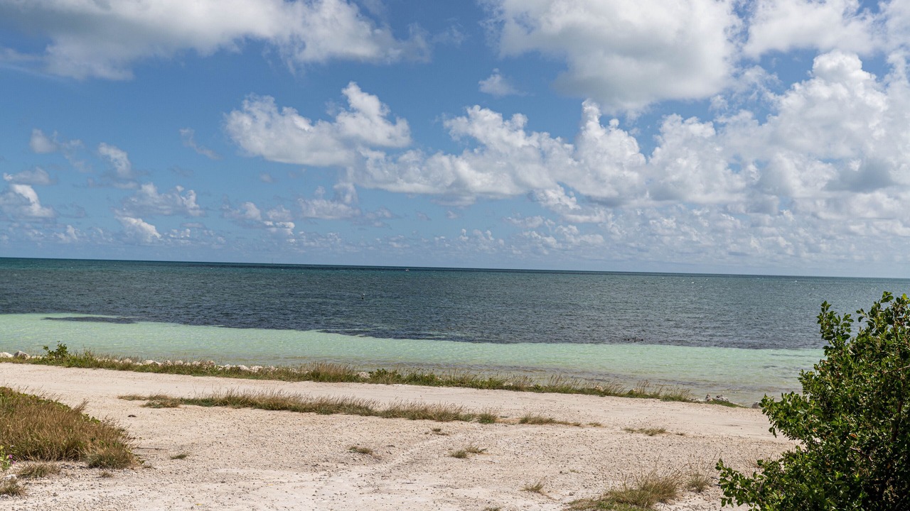Photo of Others in Big Coppitt Key