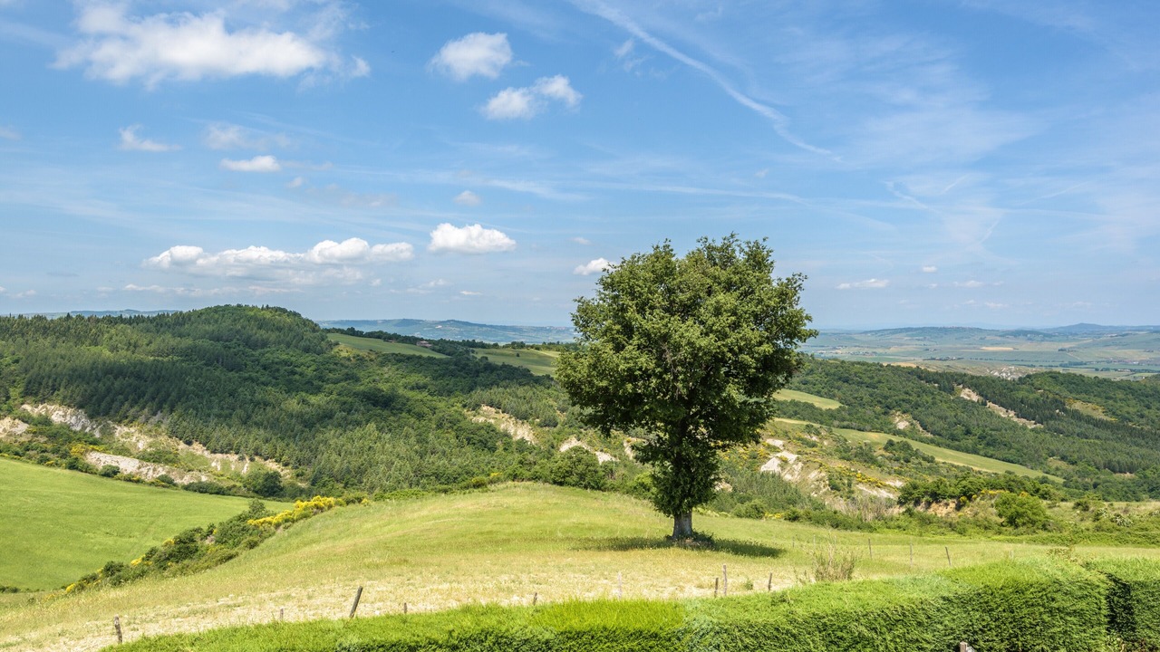 Photo of Others in Gallina