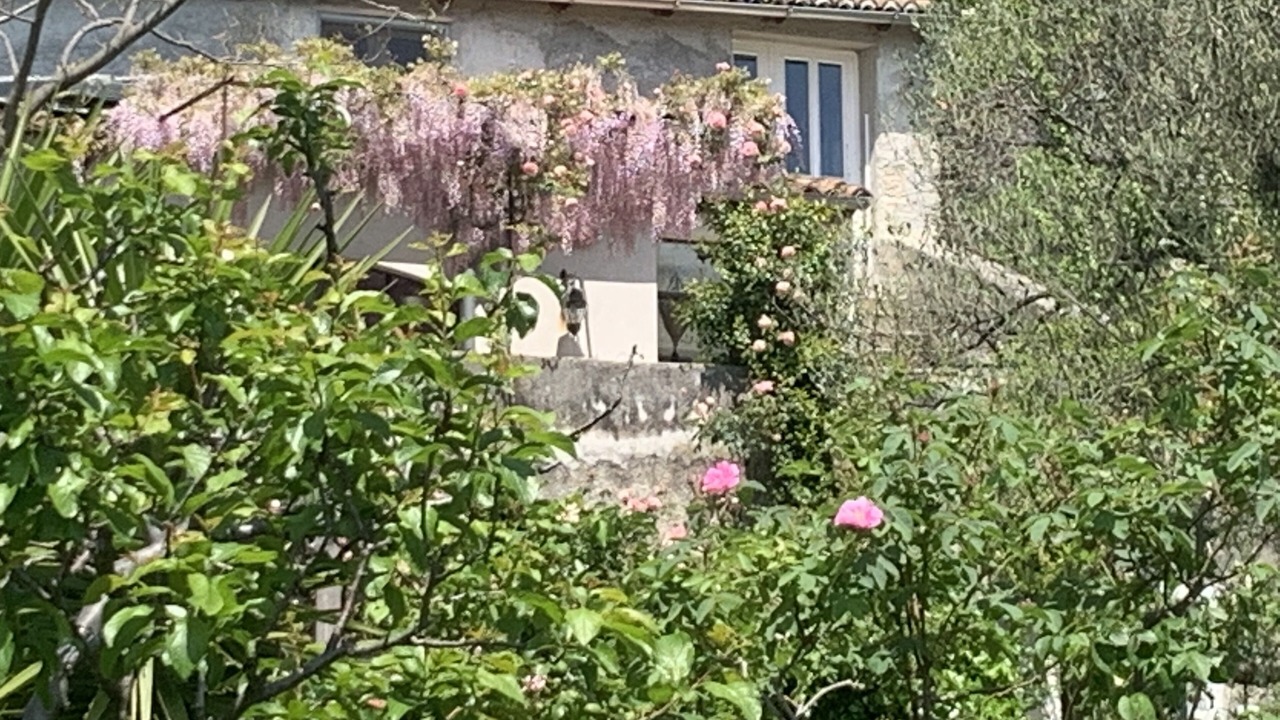 Photo of Outdoor in Calice Ligure