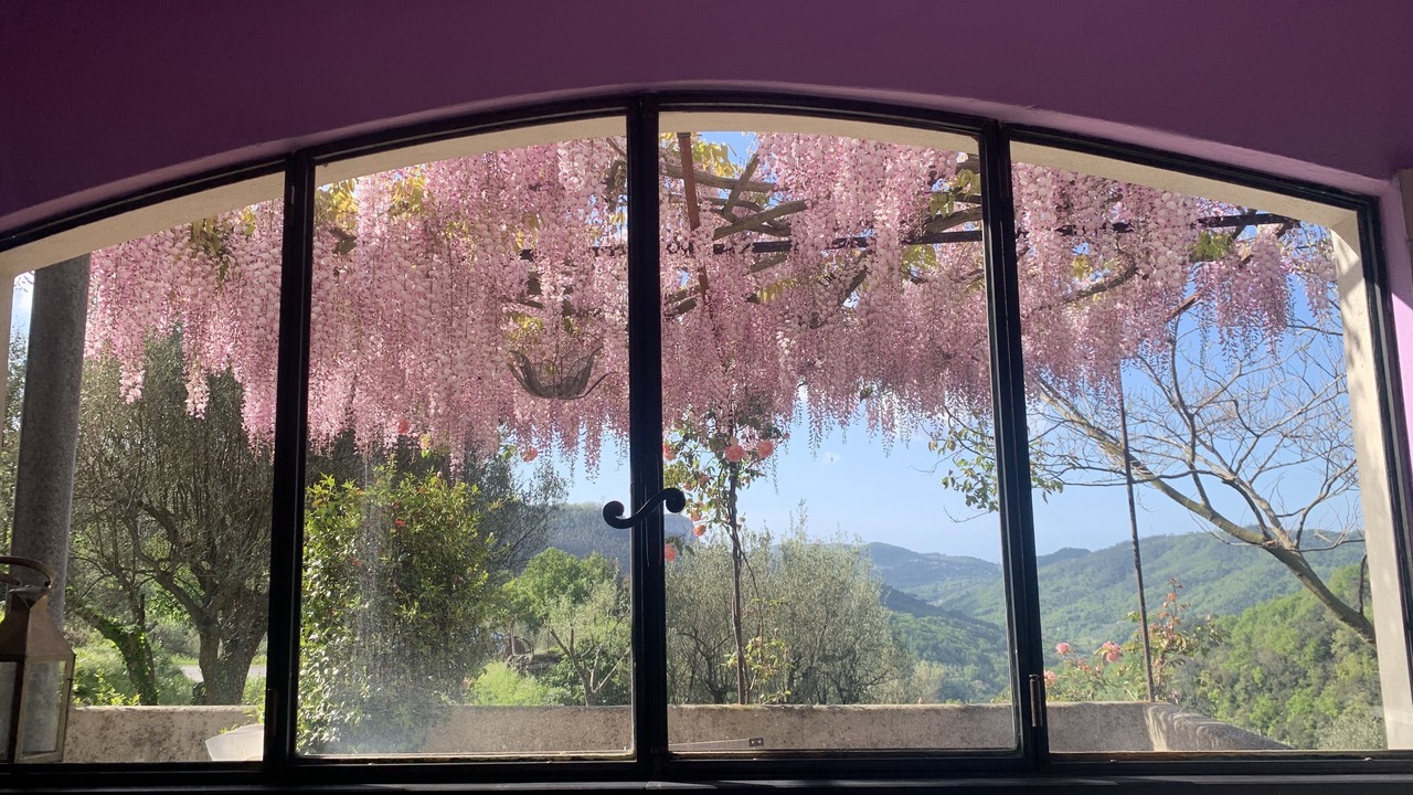 Photo of Others in Calice Ligure