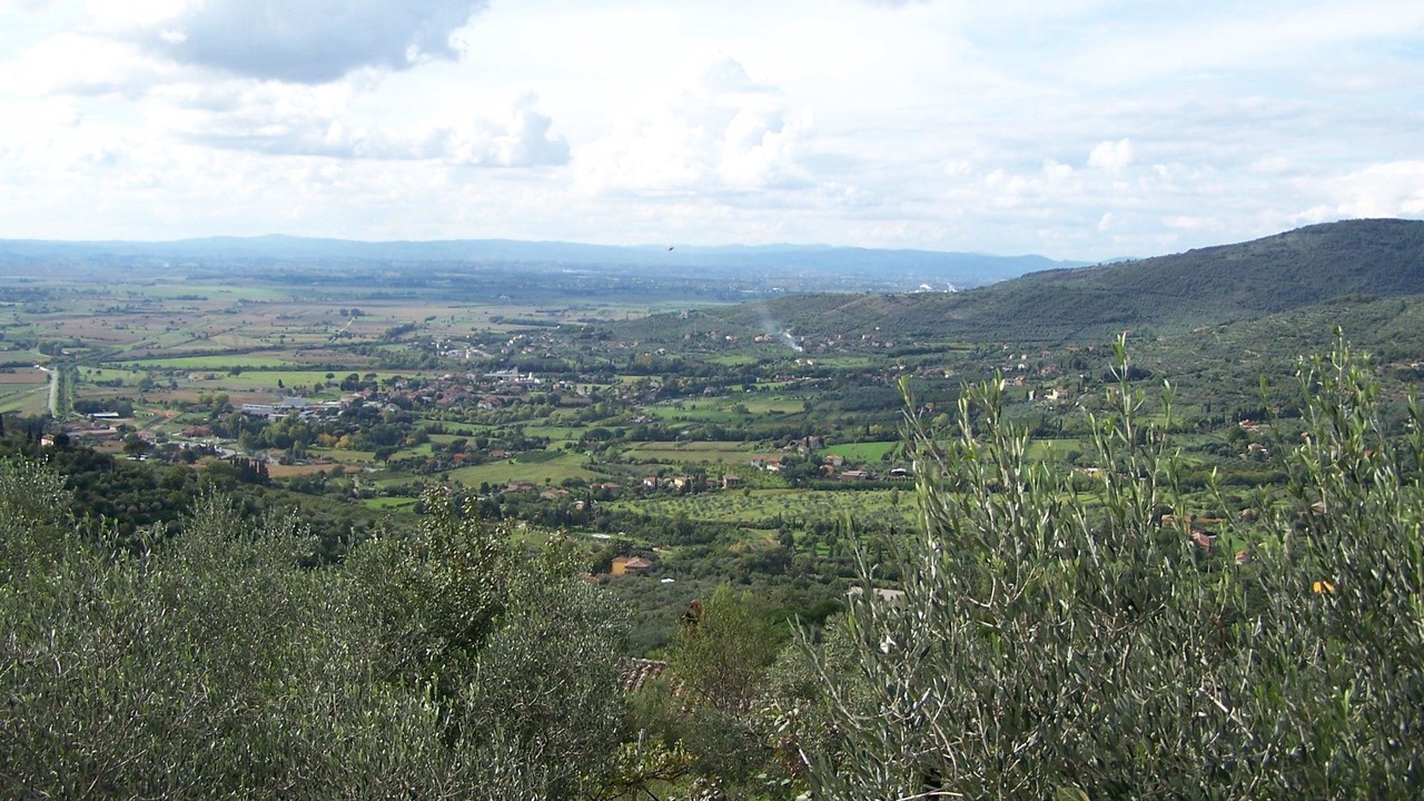 Photo of Others in Cortona