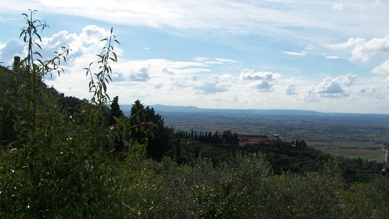 Photo of Others in Cortona