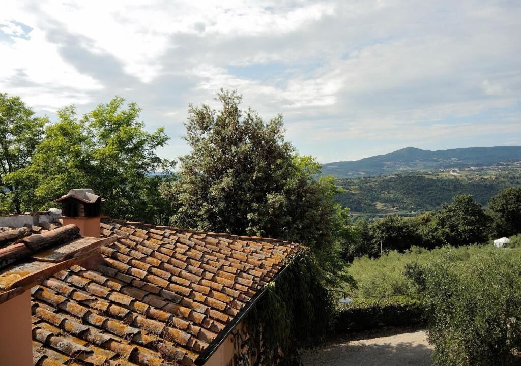 Photo of Outdoor in Montescudaio