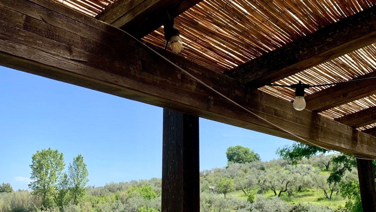 Photo of Outdoor in Montescudaio