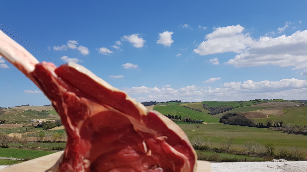 Photo of Others in Montalcino