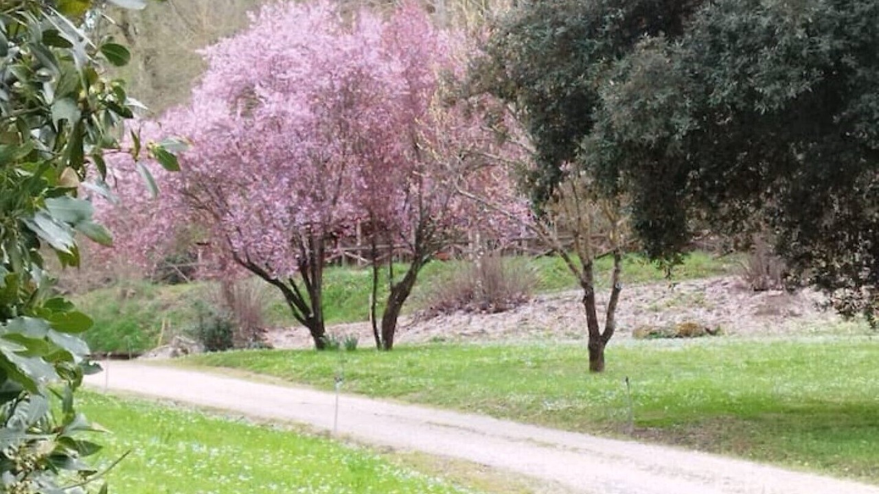 Photo of Outdoor in Celleno