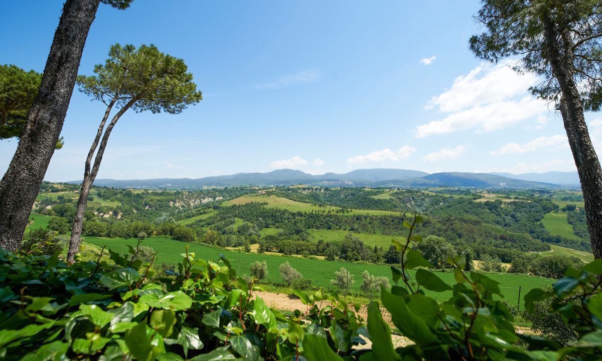 Photo of Others in Calvi di Umbria