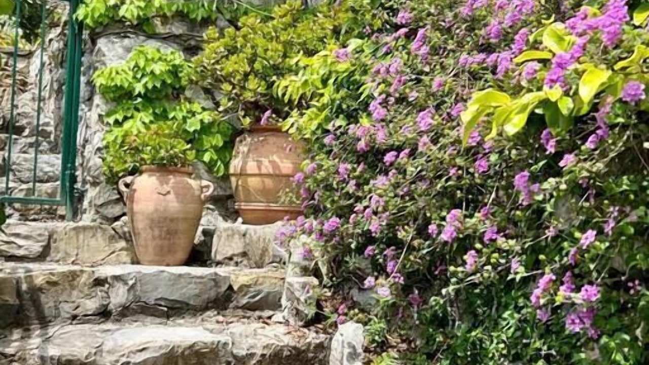 Photo of Outdoor in Sestri Levante