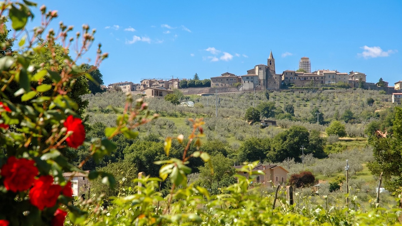 Photo of Outdoor in Bettona