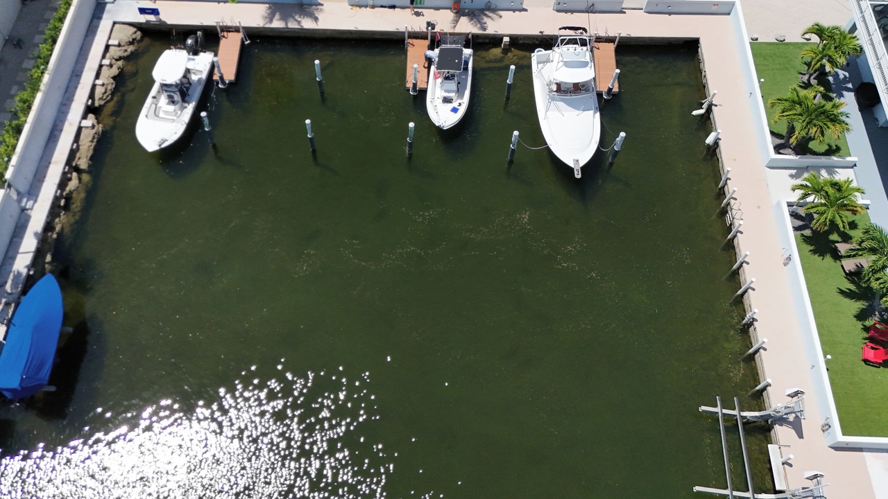 Photo of Outdoor in Key Largo