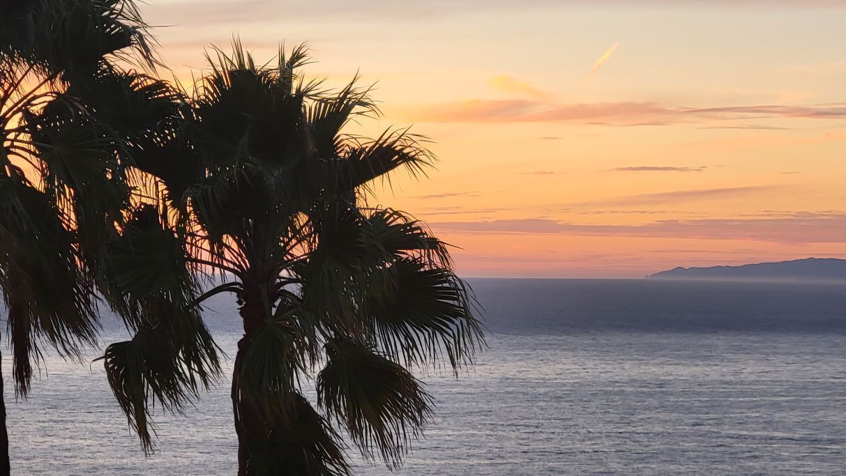 Photo of Others in Malaga Cove