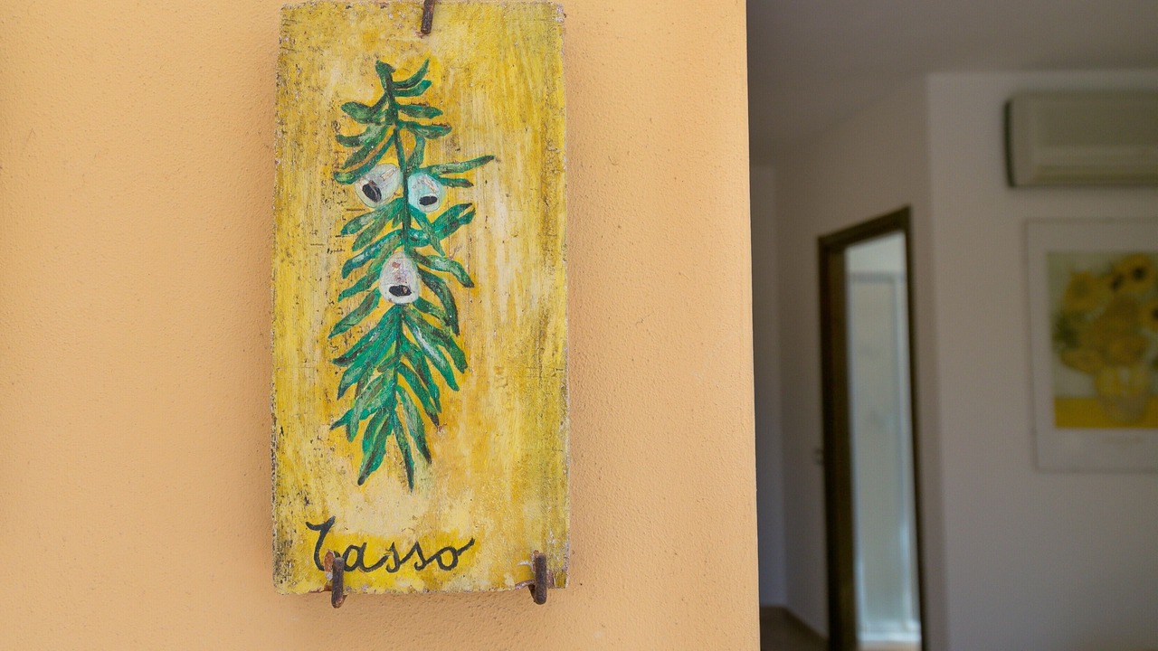 Photo of Others in Campiglia Marittima