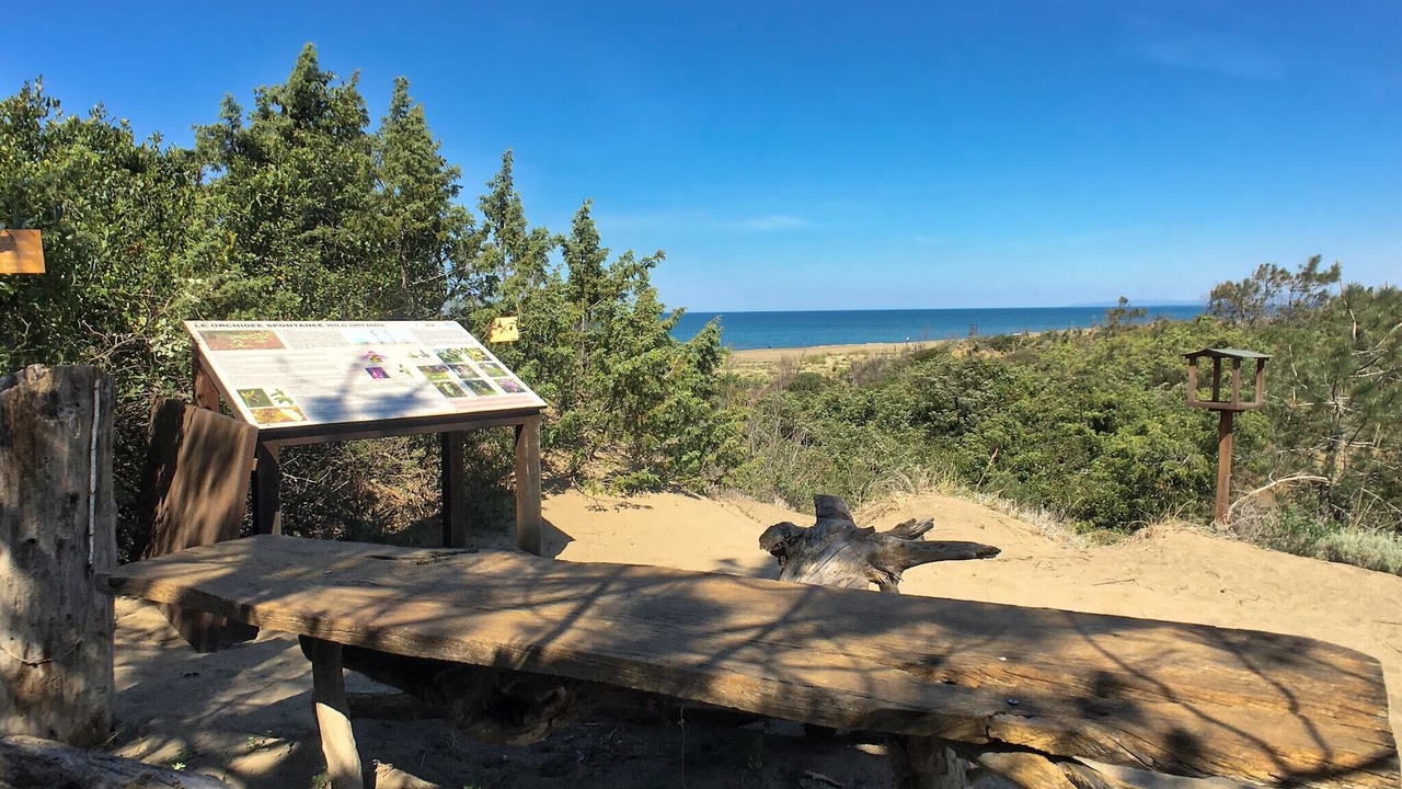 Photo of Outdoor in Donoratico