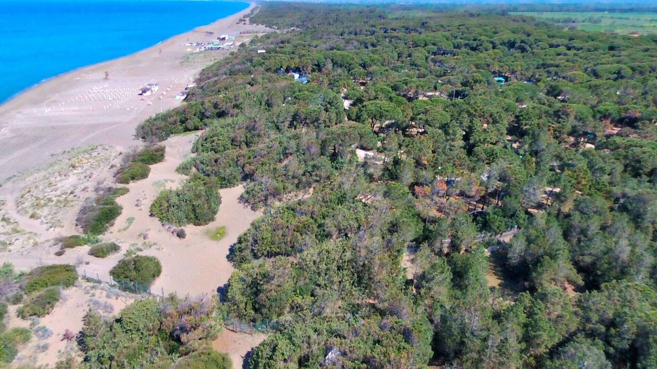 Photo of Outdoor in Donoratico